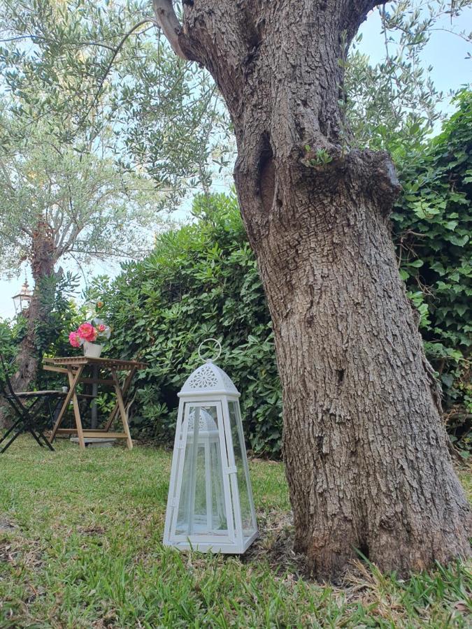 Villa Martina Mascalucia Dış mekan fotoğraf